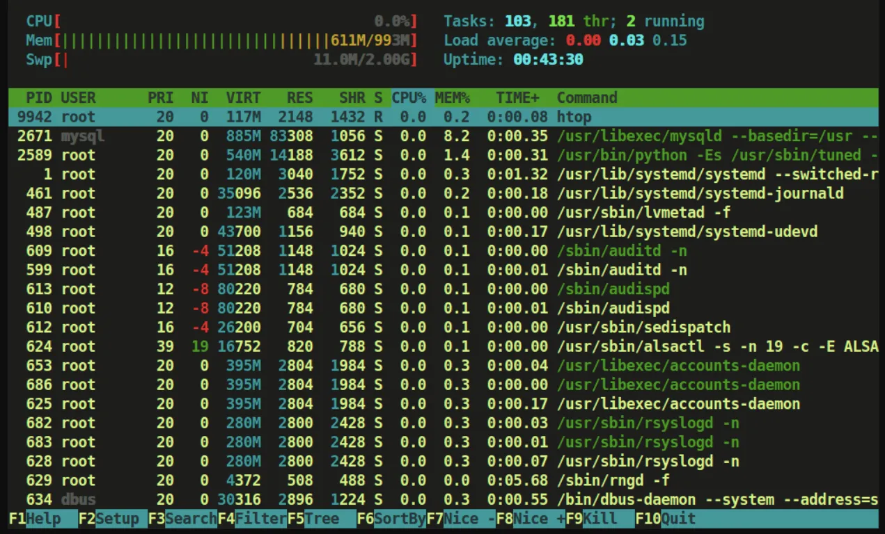 htop stato macchina